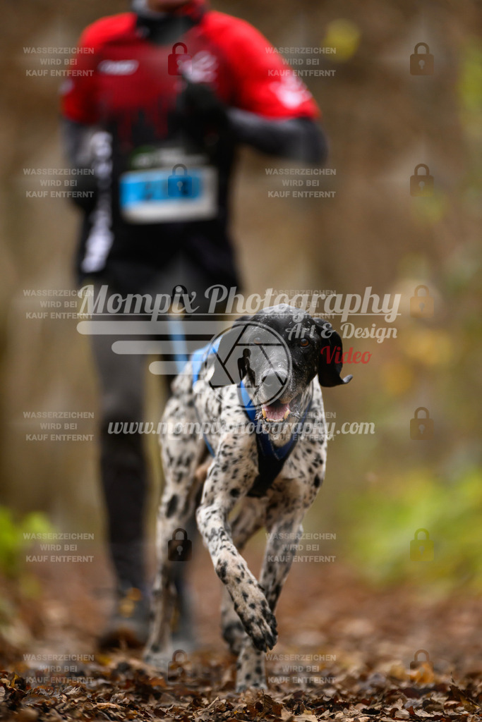 MompixPhotography_Eschau2024_CCC-67 | PayLife