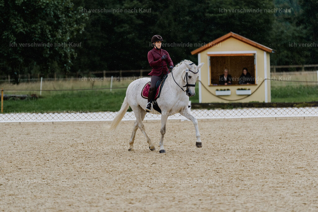 Kelly4_FHC2025-8564 | working equitationturnier fotograf videograf stoibphotography marixx film working equitation deutschland reitsport turnierfotografie eventfotografie equestrian events