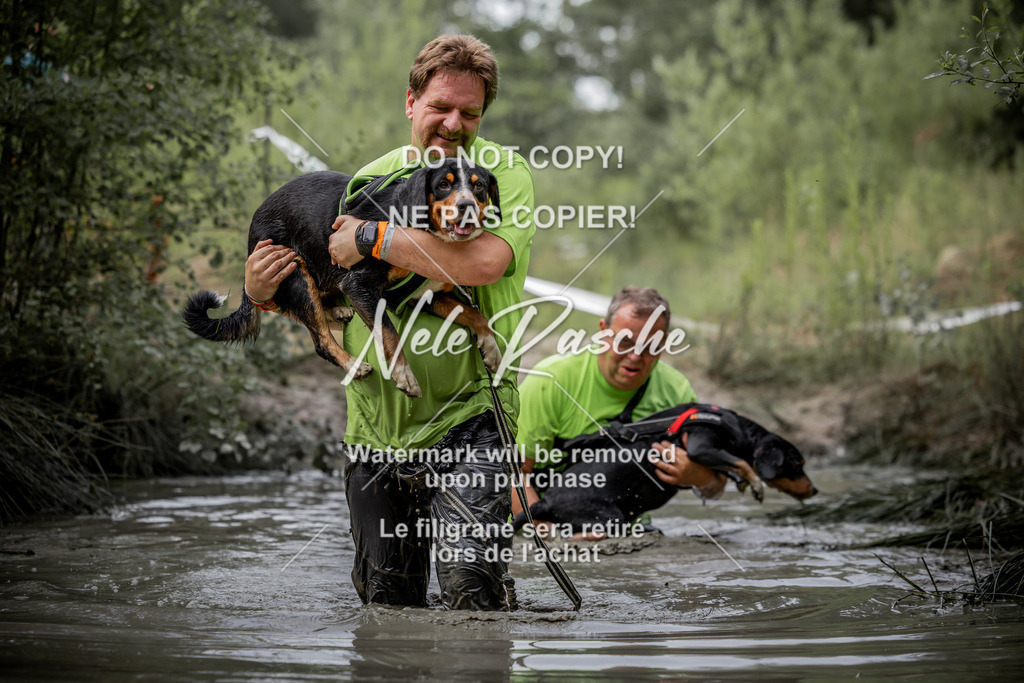 nelerasche_so0800-0930_155 | nelerasche