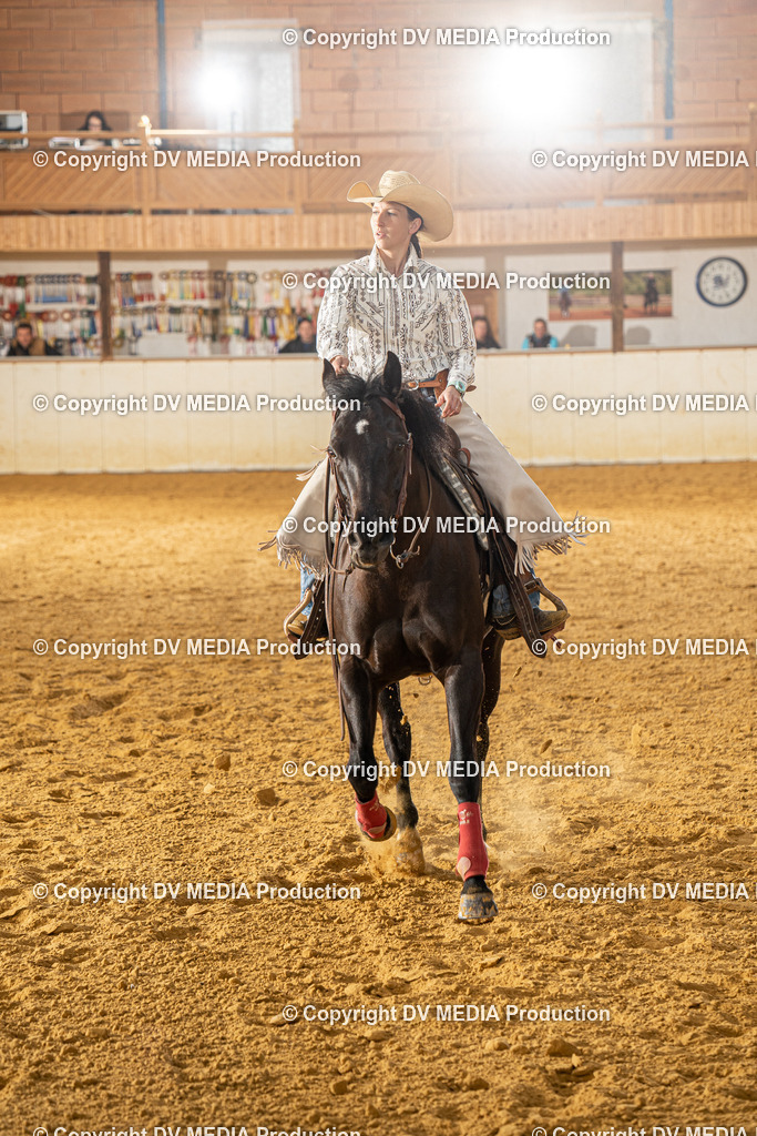 MIT00754 | dv-media-shop - Realisiert mit Pictrs.com