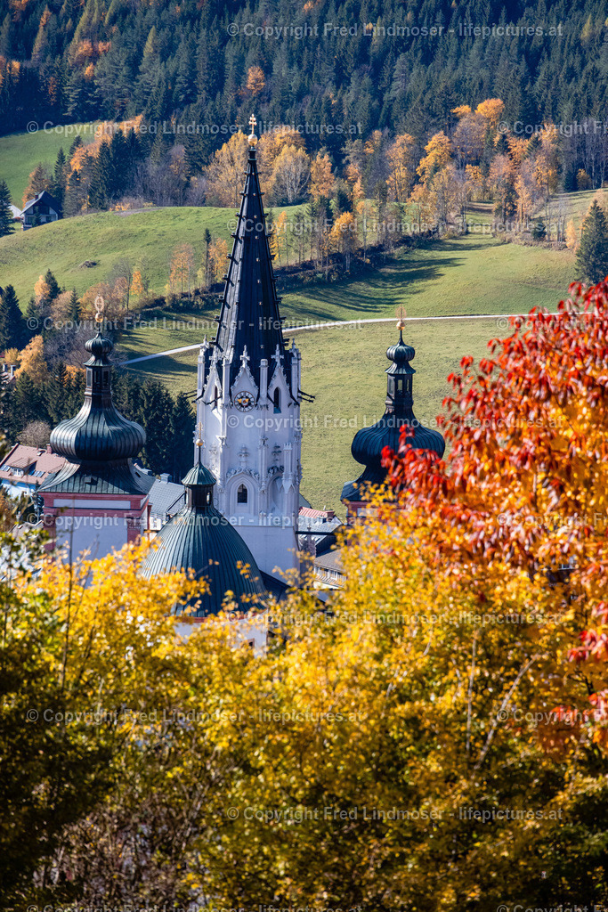 Mariazell Goldener Herbst 23102021-0454 | Fotos und Fotoprodukte - Realisiert mit Pictrs.com