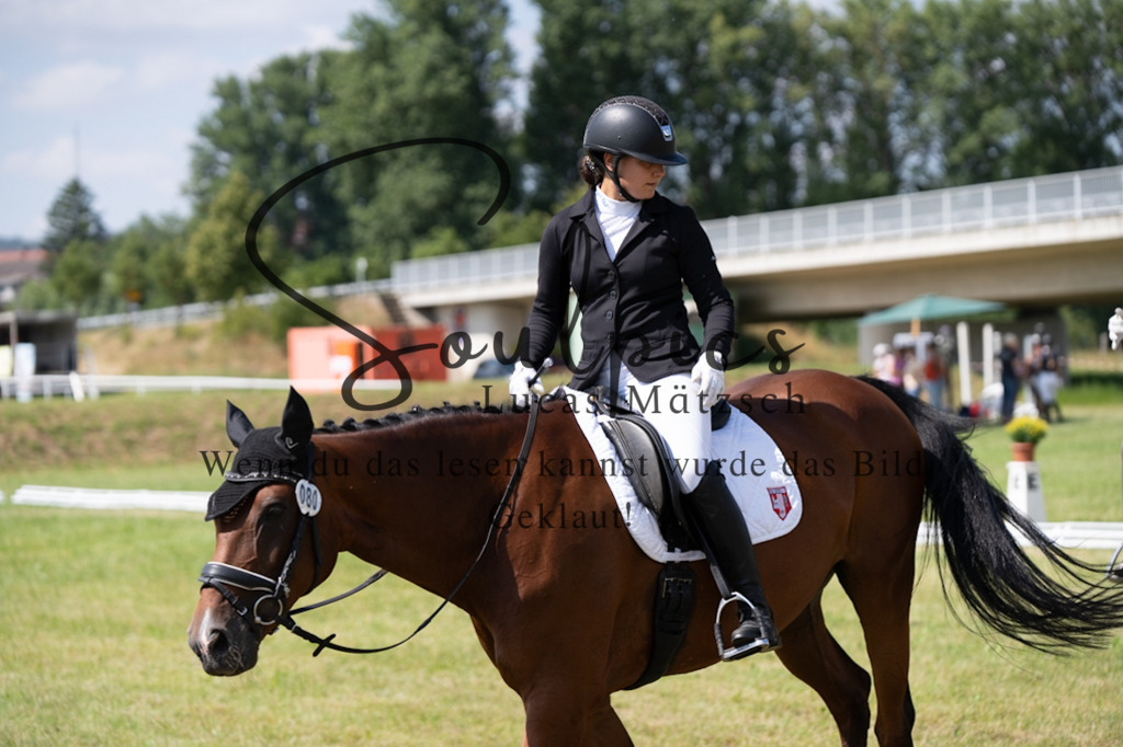 A7V09776 | Pferdefotograf