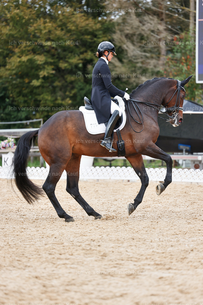 12-110-DRESSUR  S___  -StoibPH-5296 | working equitationturnier fotograf videograf stoibphotography marixx film working equitation deutschland reitsport turnierfotografie eventfotografie equestrian events