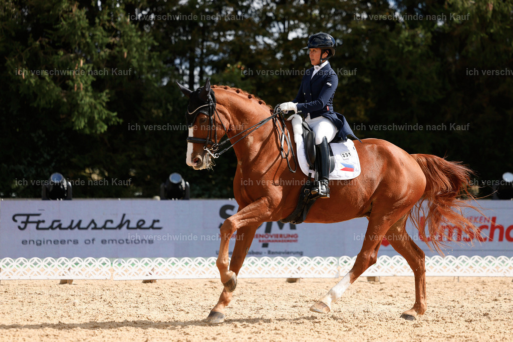 09_2-231-DRESSUR  S_  -StoibPH-5924 | working equitationturnier fotograf videograf stoibphotography marixx film working equitation deutschland reitsport turnierfotografie eventfotografie equestrian events