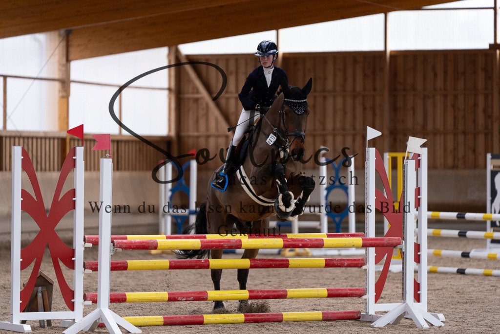 A7507765 | Pferdefotograf