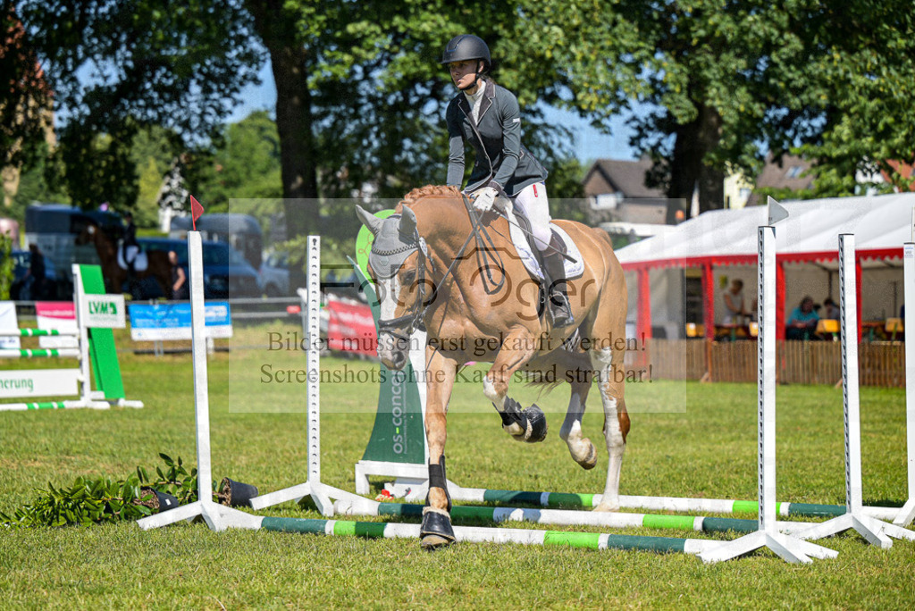Reitturnier Voxtrup | Entdecke hochwertige Reitturnierfotos von Foto Oger. Professionell, emotional und authentisch – jetzt Lieblingsmomente im Shop bestellen.Deutschlandweite Turnierfotografie. - Realisiert mit Pictrs.com