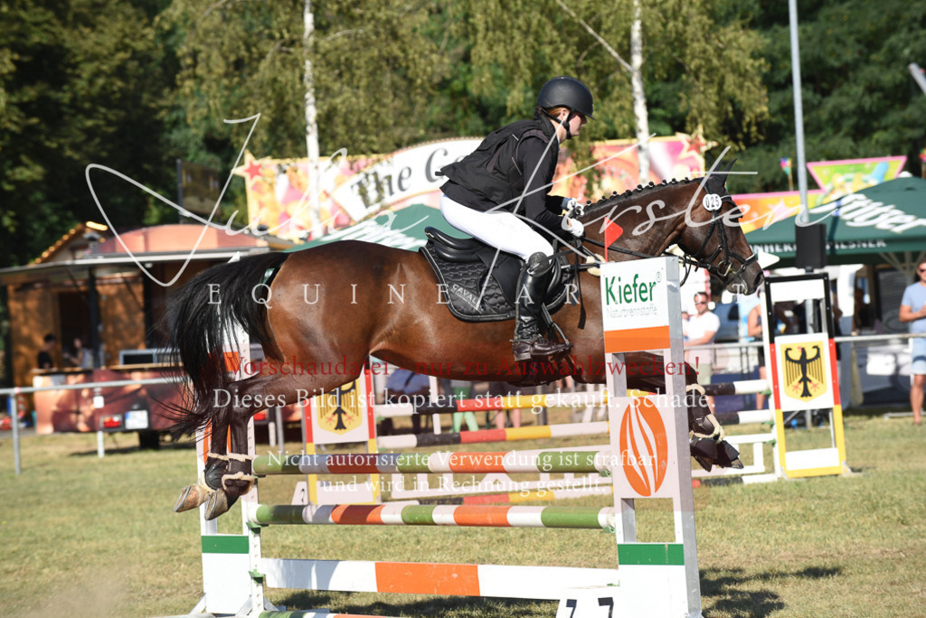 DSC_5368 | Pferde- und Turnierfotografie in Westsachsen. Pferdeportraits, Auftragszeichnungen und intuitive Kunst.