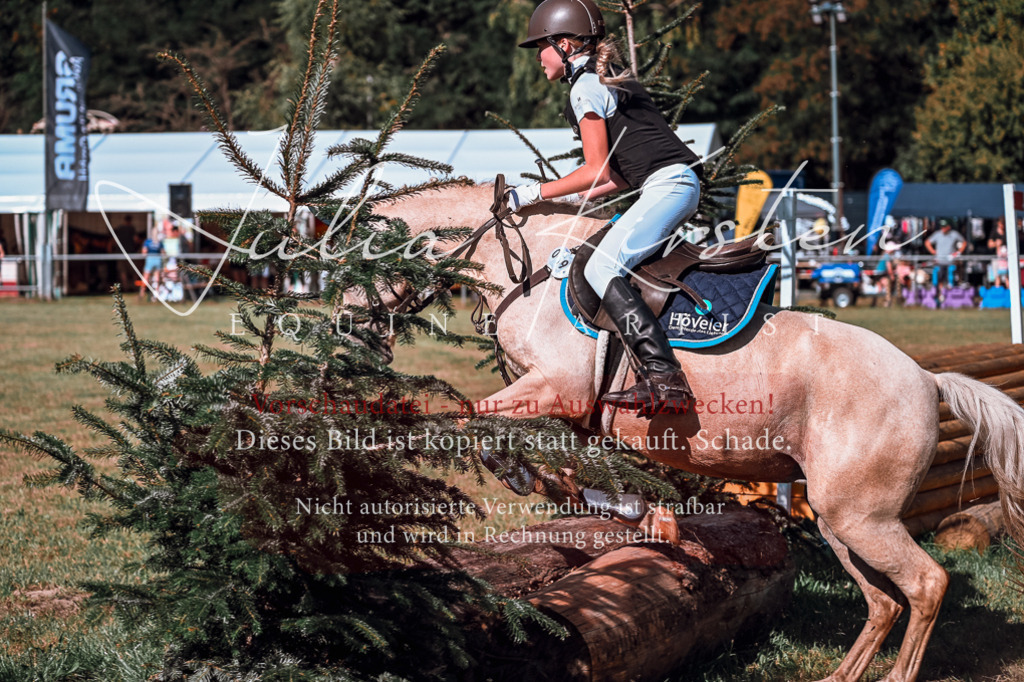 DSC_1074 | Pferde- und Turnierfotografie in Westsachsen. Pferdeportraits, Auftragszeichnungen und intuitive Kunst.