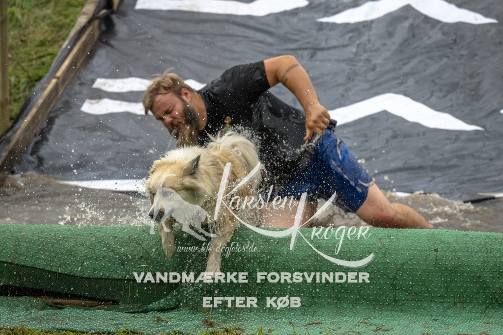 1611_ZZ92673 | kk-dogfotos