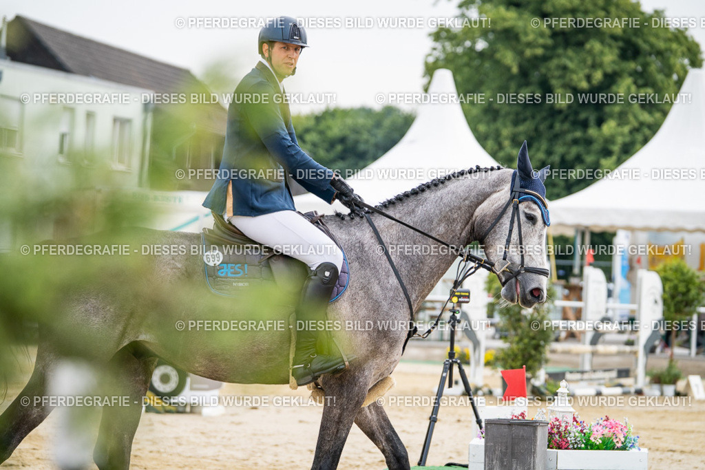 DSC09218 | Pferdegrafie