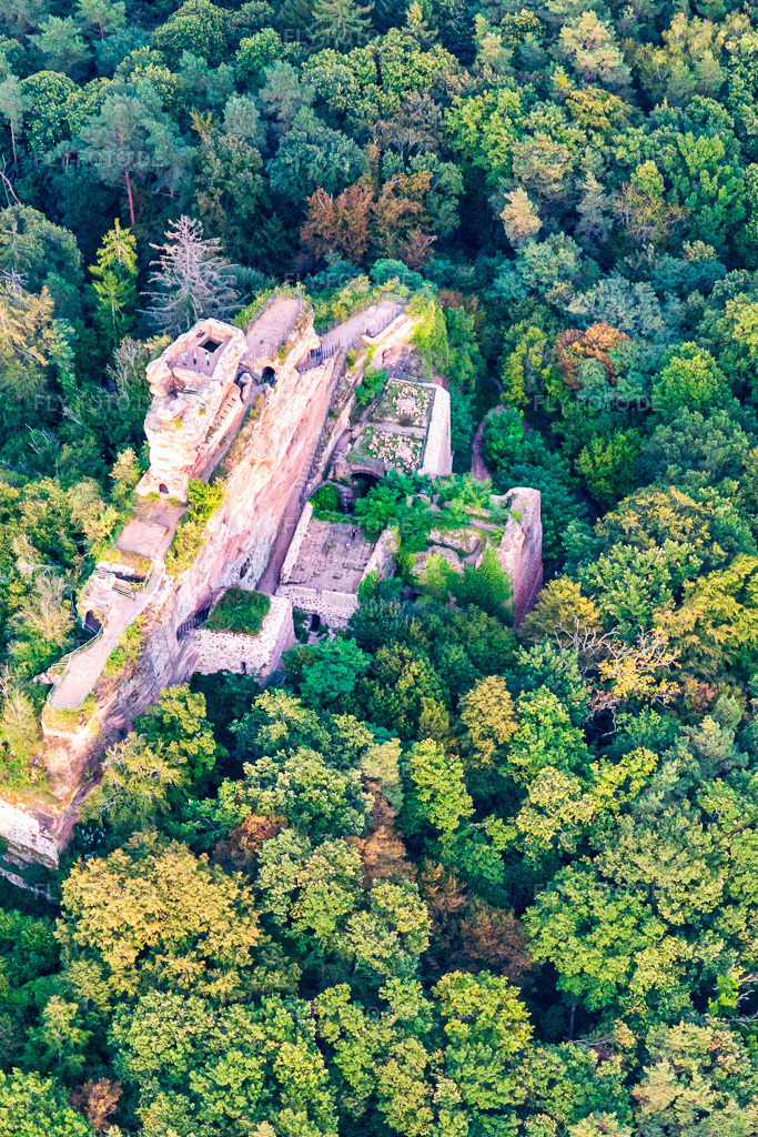 Luftbild: Burg Drachenfels in Busenberg im Bundesland Rheinland-Pfalz in Deutschland. Foto: IMG_139078.jpg vom 30.09.2023 durch Werner Riehm/FLY-FOTO.deWWW.WANDERPARADIES-WASGAU.DE