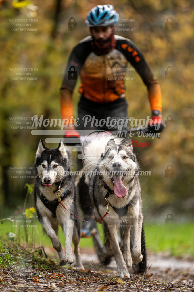 MompixPhotography_Bischwiller23_DS2-12 | mompixphotography