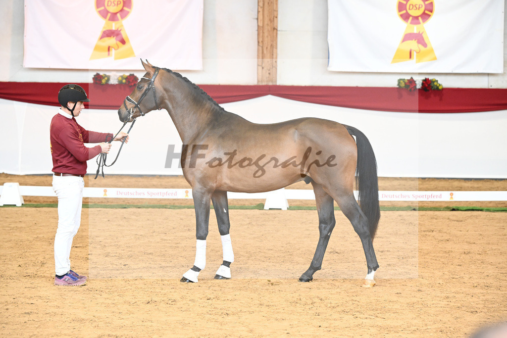 Kat-Nr. 55 Va Bene x Goldberg_Kuntz_43230542 | hf-fotografie - Realisiert mit Pictrs.com