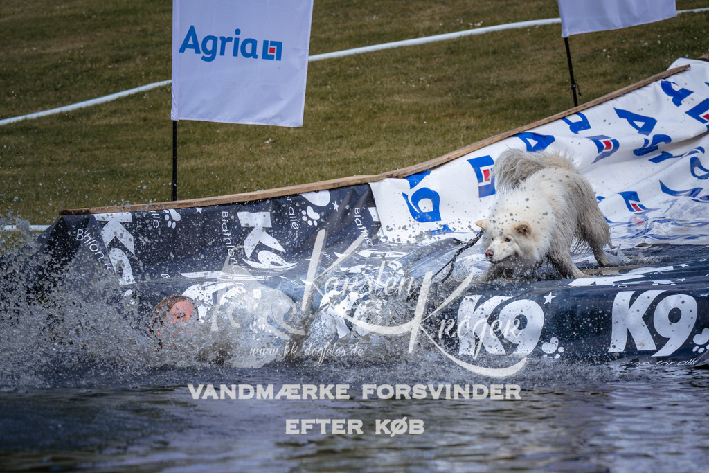 _ZZ904870900 | kk-dogfotos