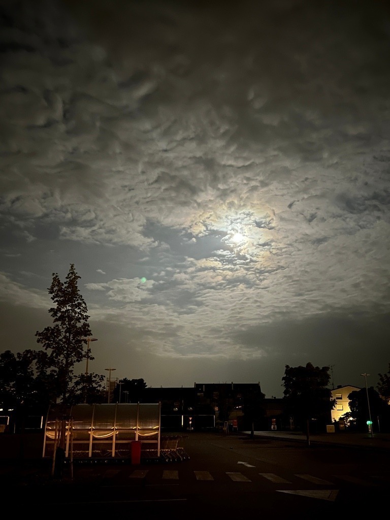 IMG_8412 | ace - Realisiert mit Pictrs.com