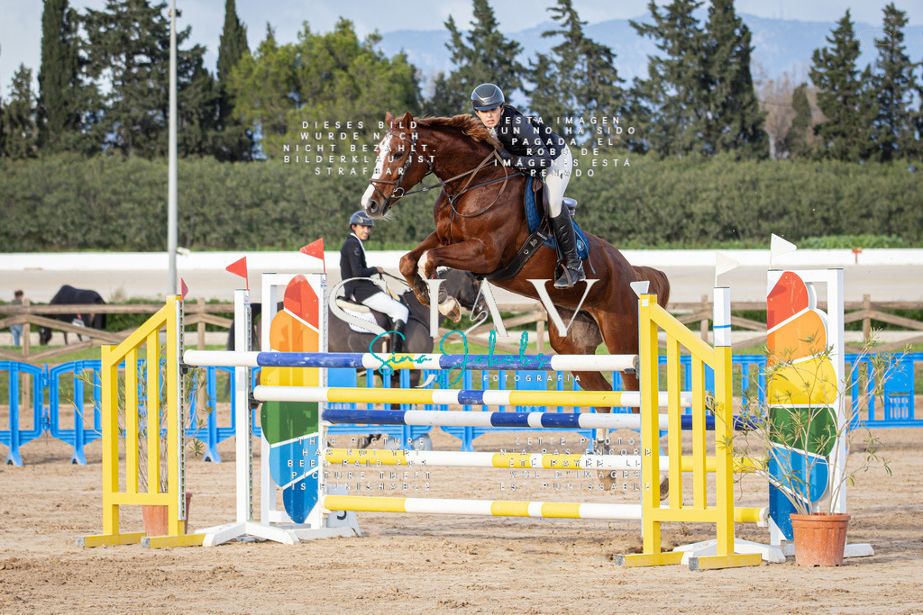 IMG_0640 | s-jay-photography - Realisiert mit Pictrs.com