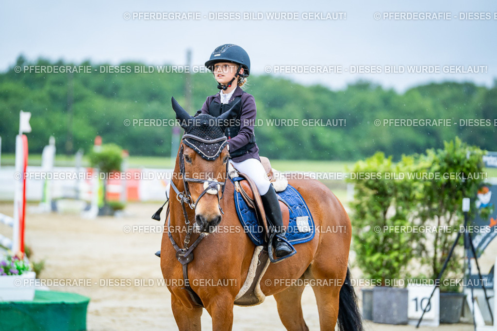 DSC01325 | Pferdegrafie