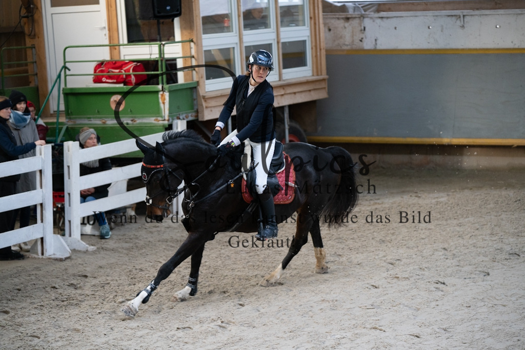 A7V01504 | Pferdefotograf