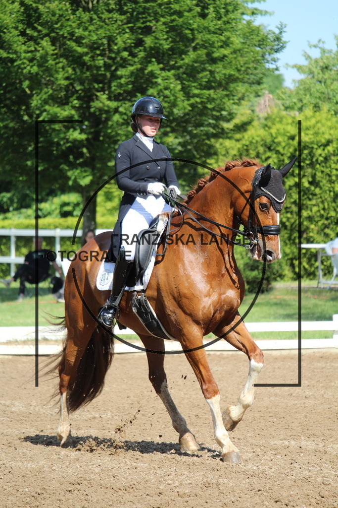 IMG_6944 | franziskalange - Realisiert mit Pictrs.com