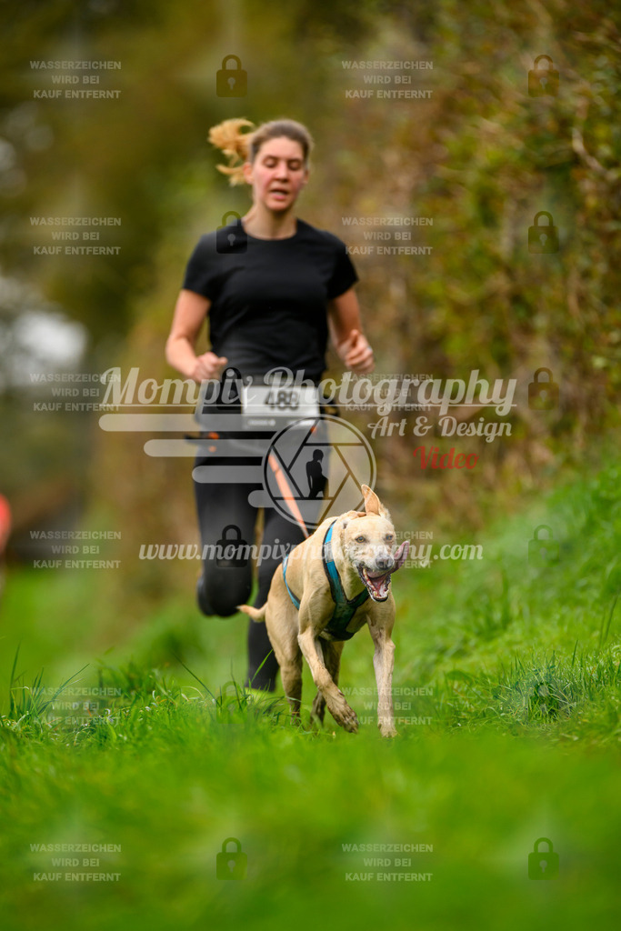 MompixPhotography_20TSB_E8_Run-50 | PayLife