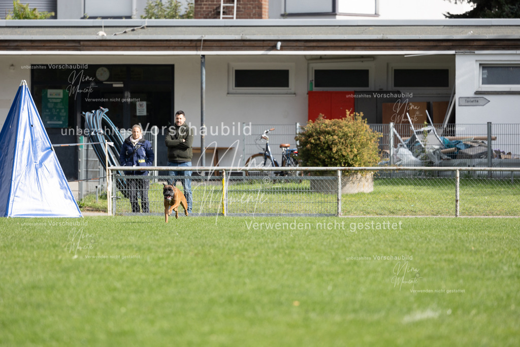 _16A7002 | Einzigartige Fotos von Hunden & Menschen –Actionfotos, Portraits, Vereinsaufnahmen & Paarshootings – authentisch, lebendig & mit Herz.