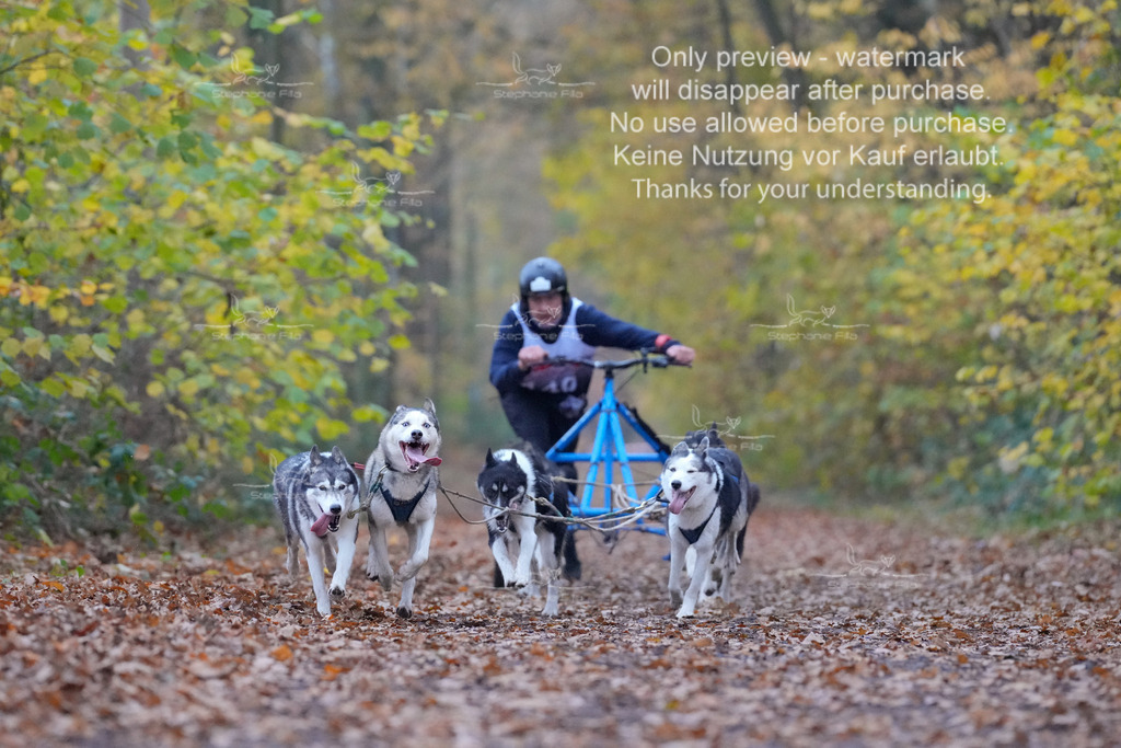 Rigs4bis8So-116 | stephaniefillaphotographie - Realisiert mit Pictrs.com