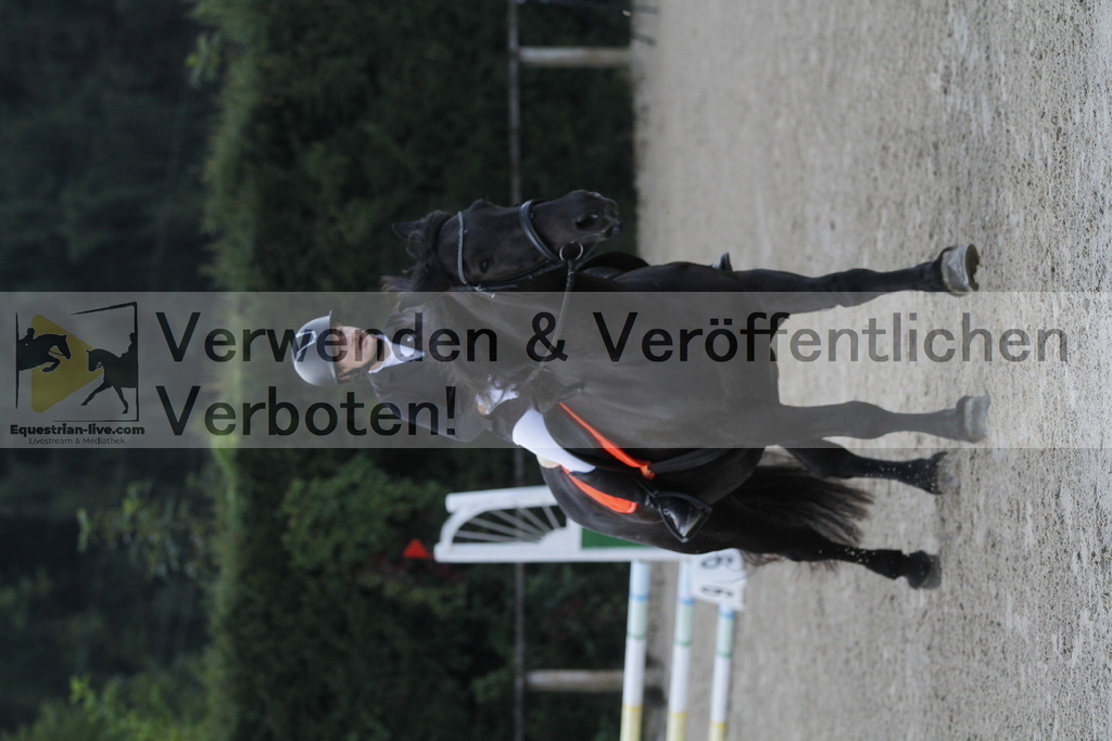 _MG_3596 | equestrian-live-com