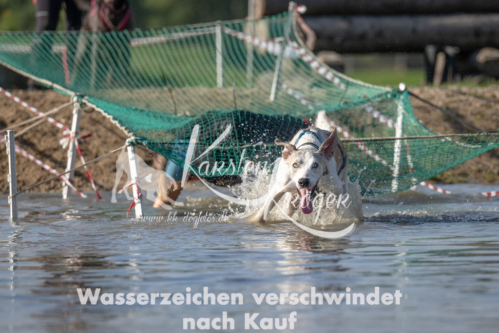 1122_ZZ92547 | kk-dogfotos