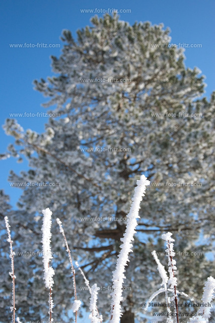 JAN_1323 | www.foto-fritz.com - Realisiert mit Pictrs.com