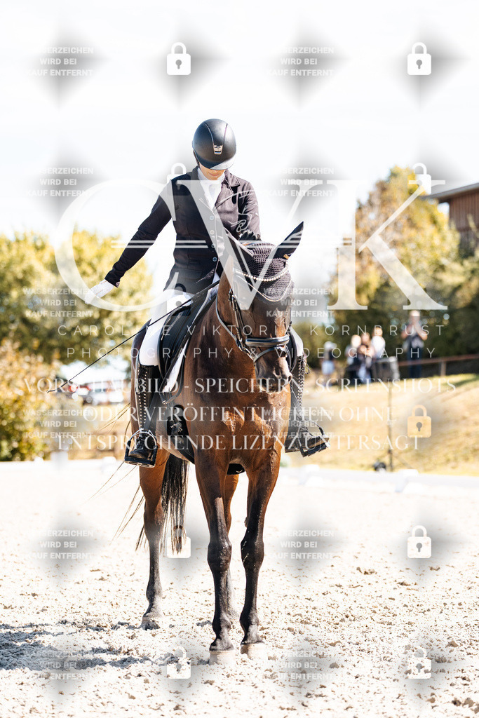 CK909771 | Turnierfotografie Pferdefotografie Trier Rheinland-Pfalz Pferdesport Reitsport Tierfotografie Sportfotografie Pferdevideo Pferdevideografie Equestrianvideography equestrianphotography  - Realisiert mit Pictrs.com