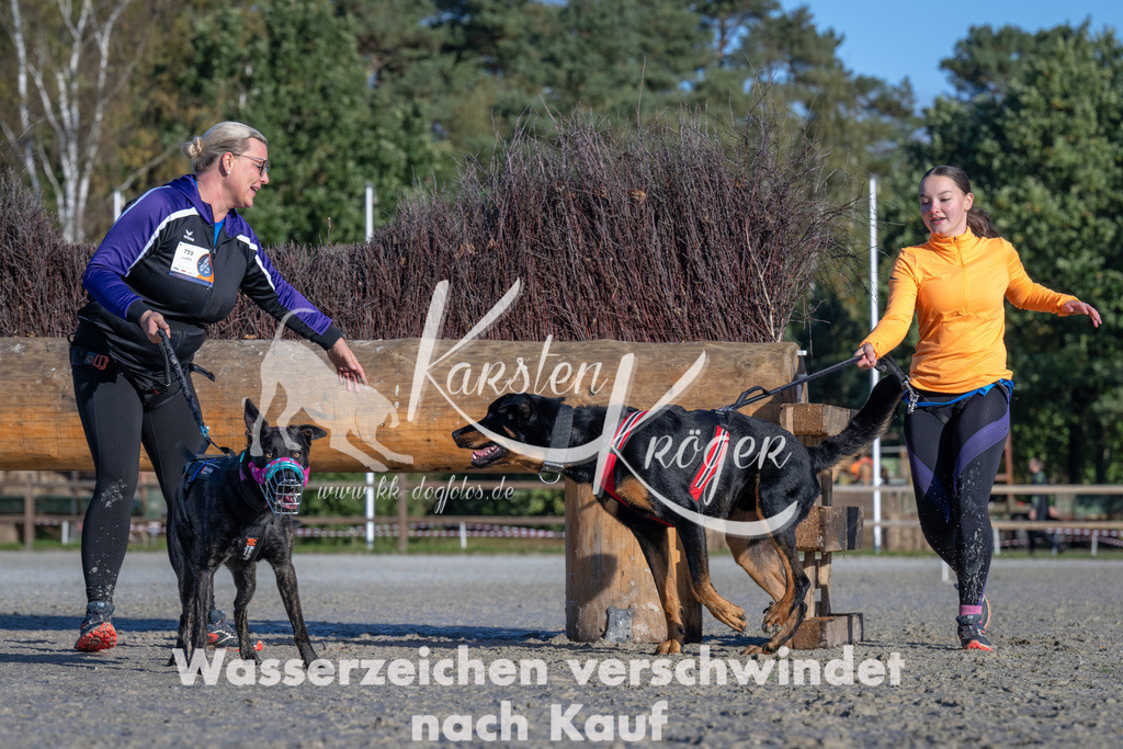 1034-_ZZ91711 | kk-dogfotos