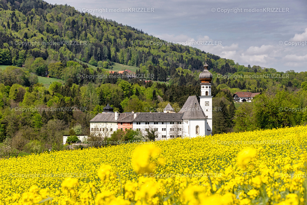 _J3A8898 | medienkrizzler - Realisiert mit Pictrs.com