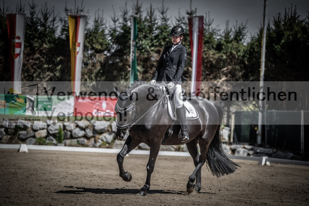 DSC_0245 | equestrian-live-com