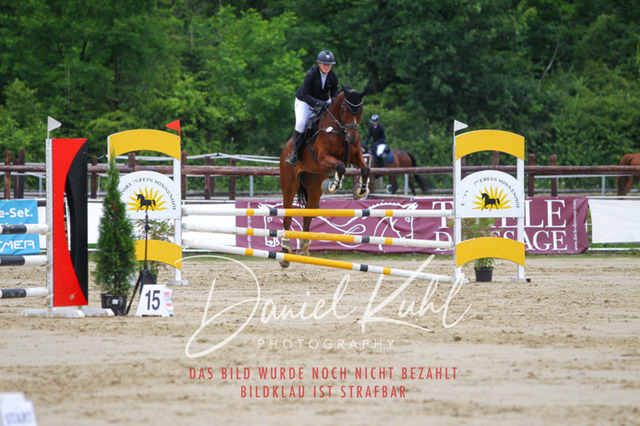 DKP41813 | Turniersportfotografie; Pferdefotografie; Dressurfotografie