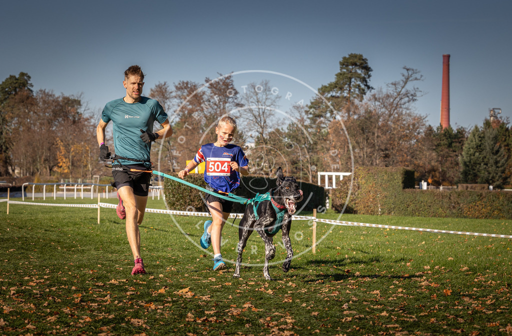 CaniXpix_0L8A6626 | Hundefotografie, Tierfotograf, Pfotenfotografie, Fotoshooting Hund, Hunde Portrait, Hundesport, Hundeportraits, Heideshooting, Hunde, Sportfotograf, Hundefotograf, Turnierhundsport, THS,  - Realisiert mit Pictrs.com