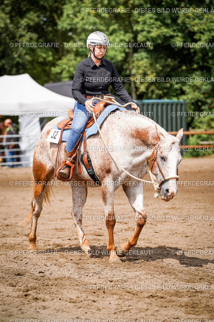 DSC07350 | Pferdegrafie