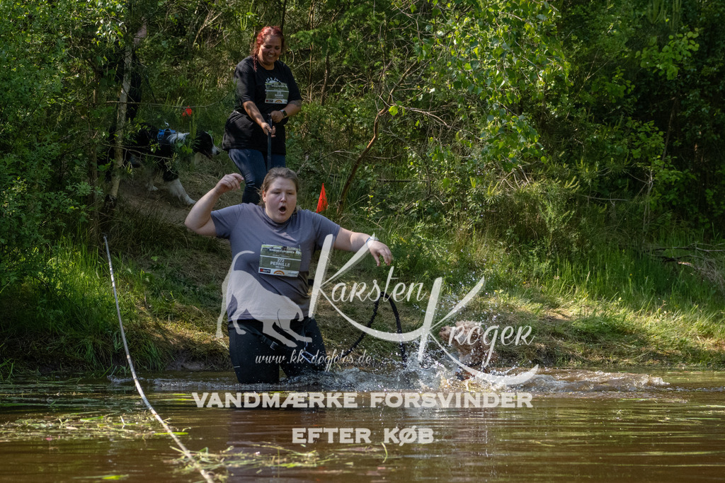 1613DKK993652 | kk-dogfotos