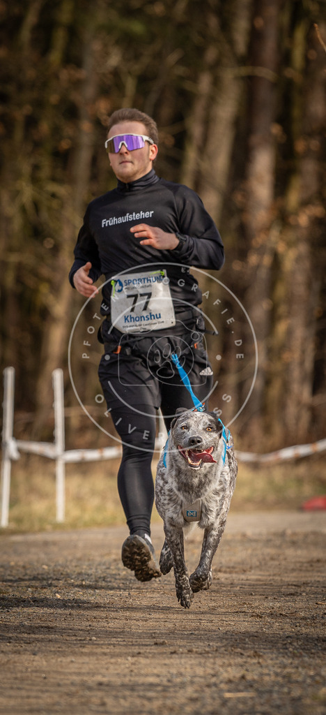 DV3A3670 | Hundefotografie, Tierfotograf, Pfotenfotografie, Fotoshooting Hund, Hunde Portrait, Hundesport, Hundeportraits, Heideshooting, Hunde, Sportfotograf, Hundefotograf, Turnierhundsport, THS,  - Realisiert mit Pictrs.com