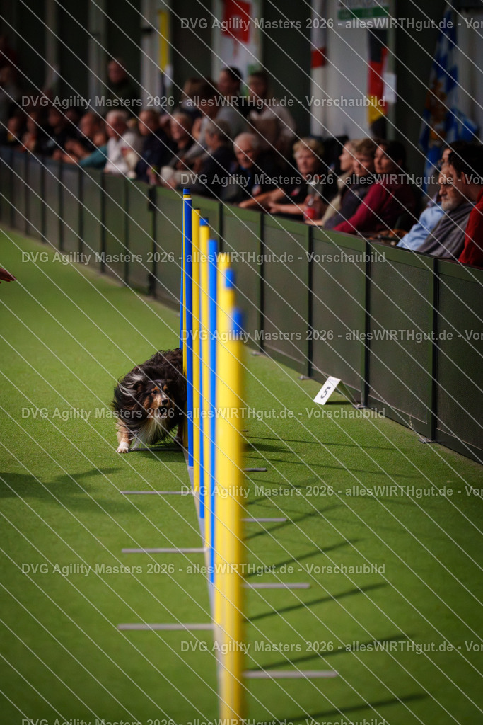 allesWIRTHgut_Tierfotografie-DVG_Agility_Masters_2026-16_56-7R504688 | Professionelle Tierfotografie in Mönchengladbach von Daniel Wirth (allesWIRTHgut). Liebevolle & natürliche Bilder von Hunden & Katzen für unvergessliche Erinnerungen.