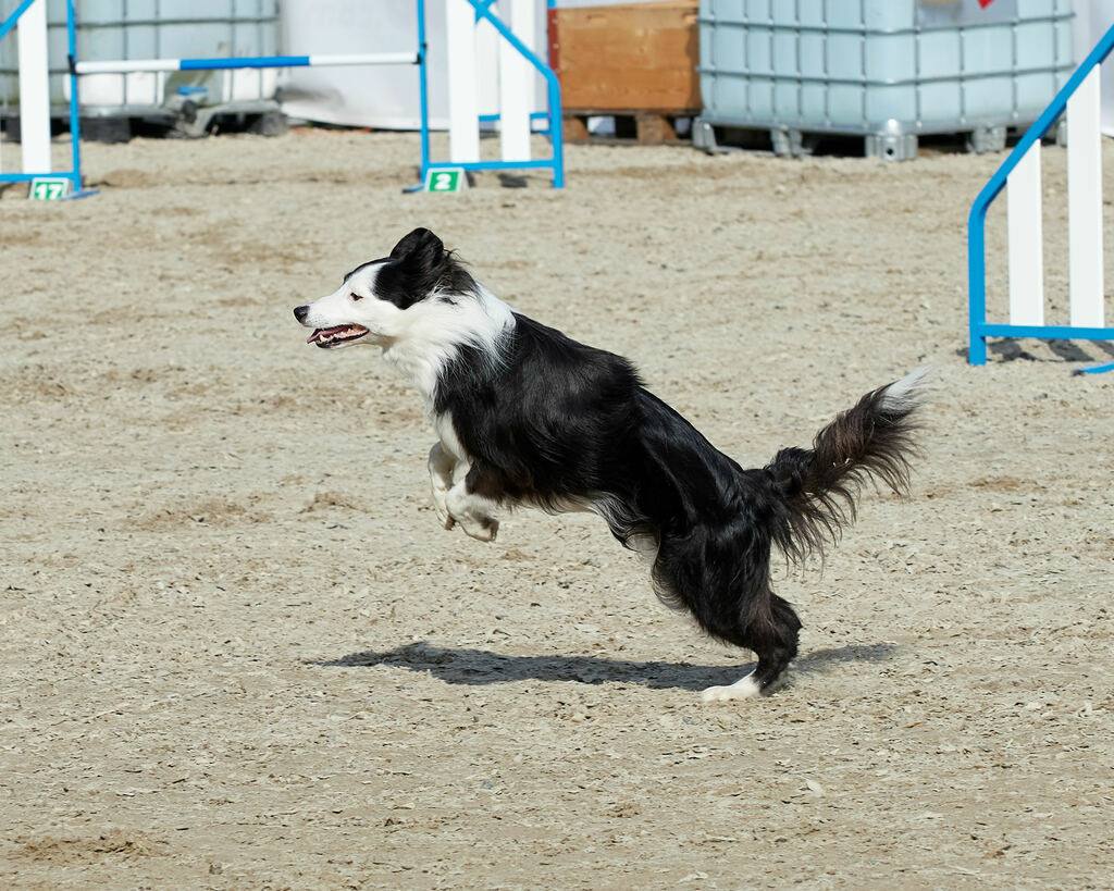 580B0066 | Peter Fridle Fotografie - Realisiert mit Pictrs.com