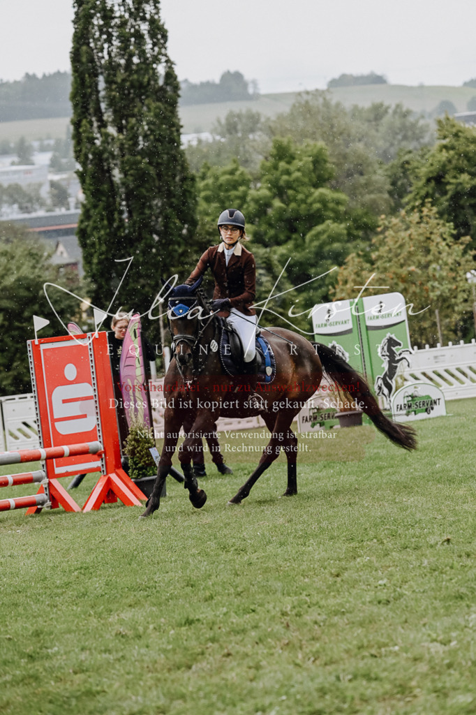 DSC_6917 | Pferde- und Turnierfotografie in Westsachsen. Pferdeportraits, Auftragszeichnungen und intuitive Kunst.