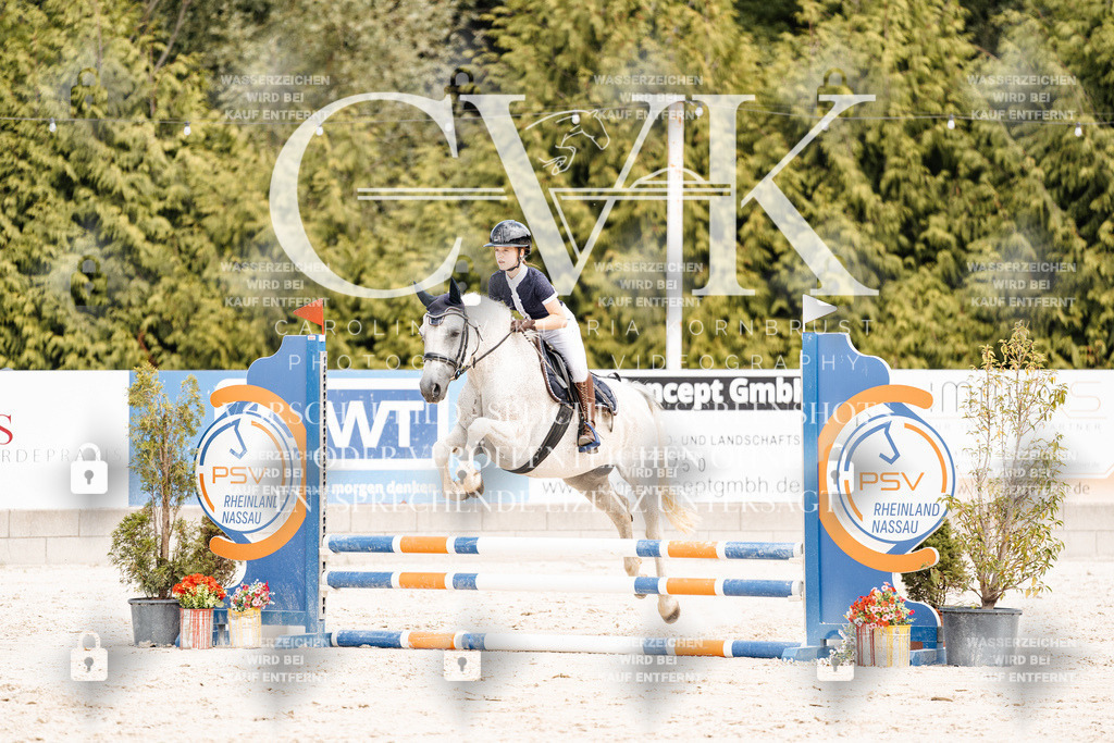 CK906790 | Turnierfotografie Pferdefotografie Trier Rheinland-Pfalz Pferdesport Reitsport Tierfotografie Sportfotografie Pferdevideo Pferdevideografie Equestrianvideography equestrianphotography  - Realisiert mit Pictrs.com