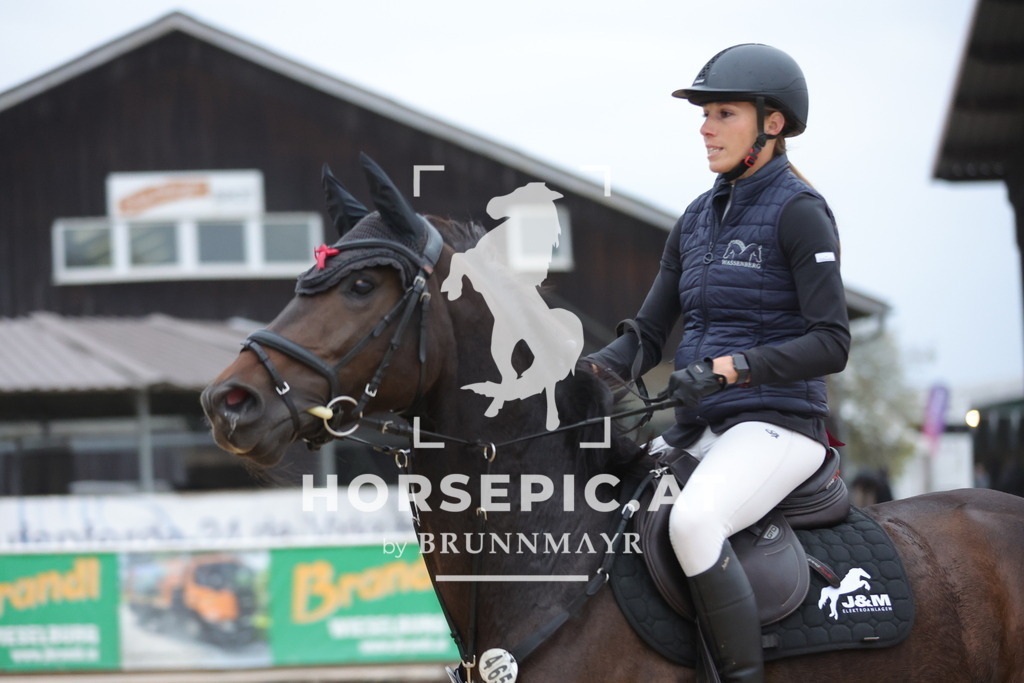 0P6A5506 | Willkommen bei Brunnmayr - Design & Fotografie – Ihrem Spezialisten für Reitturniere und Pferdeveranstaltungen in Oberösterreich, Salzburg und Bayern! Seit über 17 Jahren sind wir leidenschaftlich dabei.