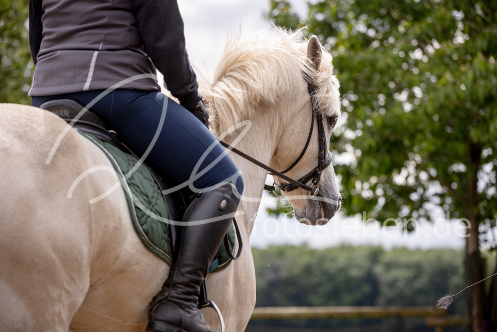 846A0887 | fotosleben - Realisiert mit Pictrs.com
