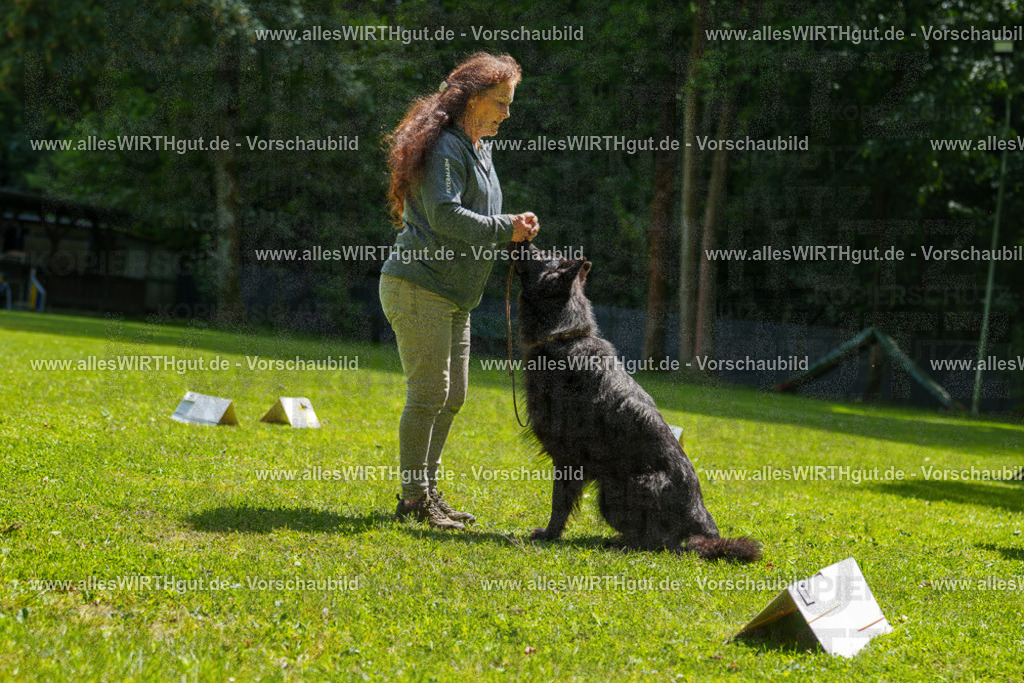 @allesWIRTHgut_Tierfotografie - www.allesWIRTHgut.de - 7R505708 | Professionelle Tierfotografie in Mönchengladbach von Daniel Wirth (allesWIRTHgut). Liebevolle & natürliche Bilder von Hunden & Katzen für unvergessliche Erinnerungen.
