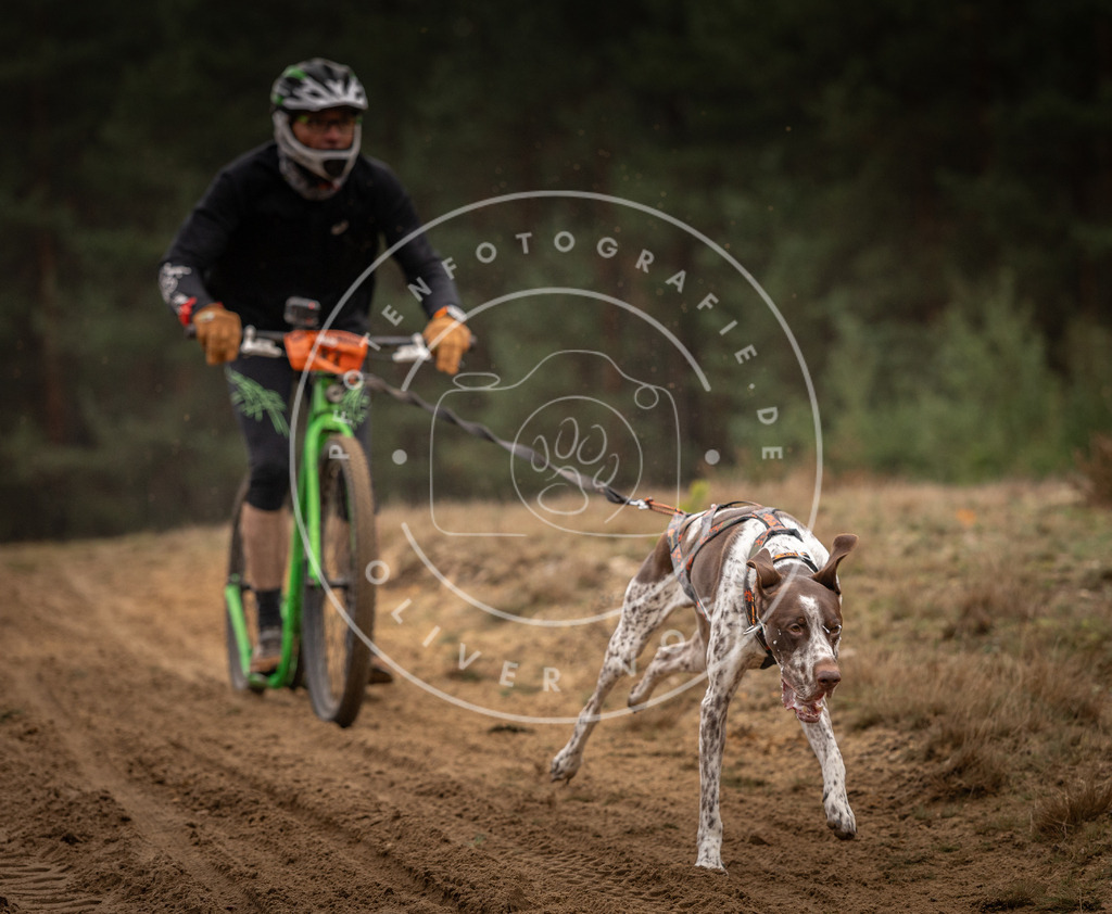 Pfotenfotografie_DV3A4751 | Hundefotografie, Tierfotograf, Pfotenfotografie, Fotoshooting Hund, Hunde Portrait, Hundesport, Hundeportraits, Heideshooting, Hunde, Sportfotograf, Hundefotograf, Turnierhundsport, THS,  - Realisiert mit Pictrs.com