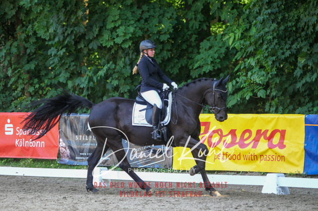 DKP42828 | Turniersportfotografie; Pferdefotografie; Dressurfotografie