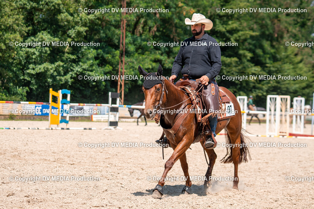 Zeiskam Tag 1-916 | dv-media-shop - Realisiert mit Pictrs.com