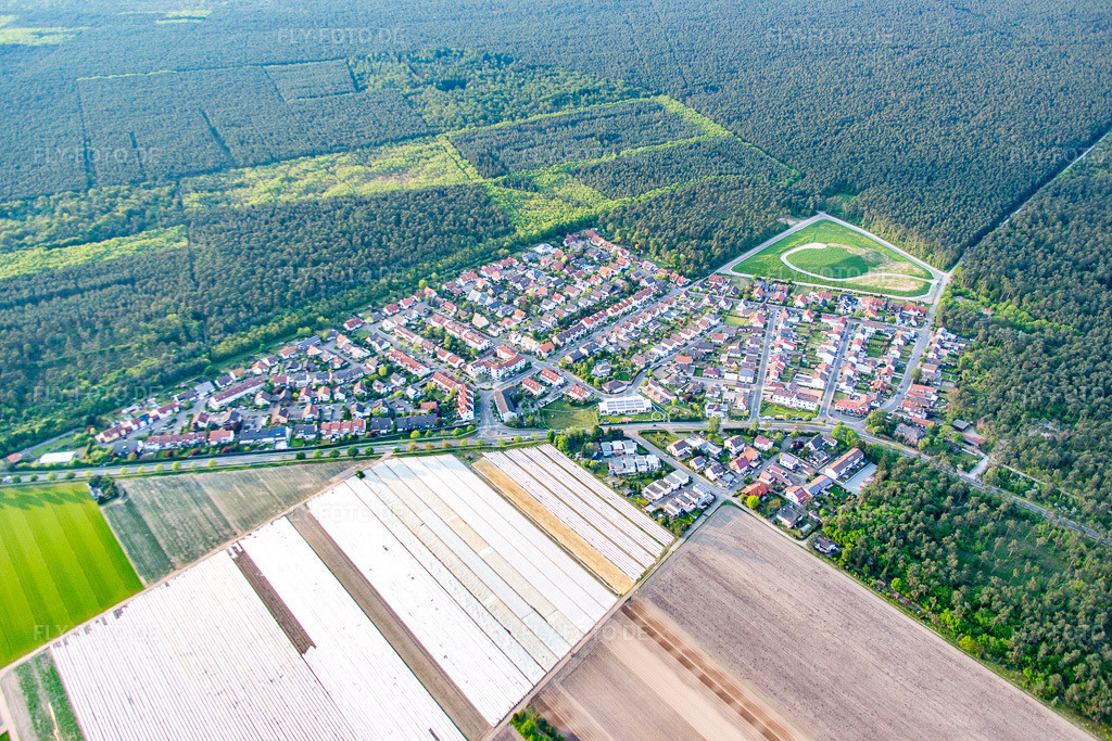 Luftbild: Ortsansicht von Süden im Ortsteil Neuschloß in Lampertheim im Bundesland Hessen in Deutschland. Foto: IMG_088288.jpg vom 09.05.2016 durch Werner Riehm/FLY-FOTO.de