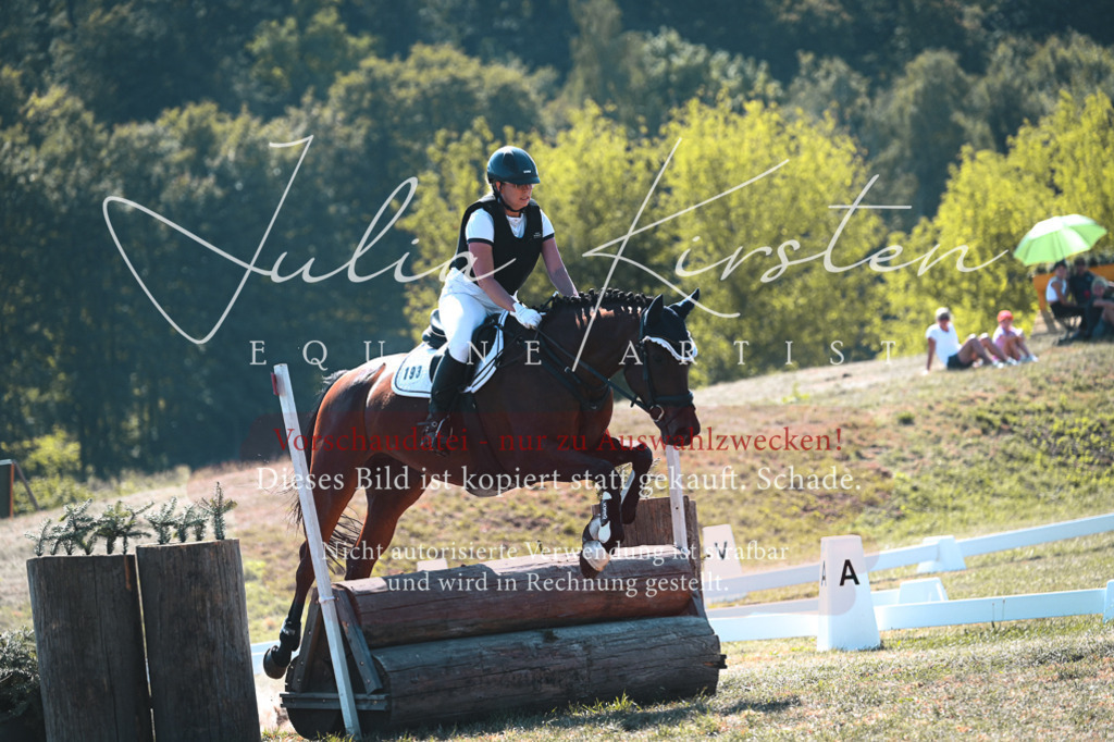 DSC_8149 | Pferde- und Turnierfotografie in Westsachsen. Pferdeportraits, Auftragszeichnungen und intuitive Kunst.